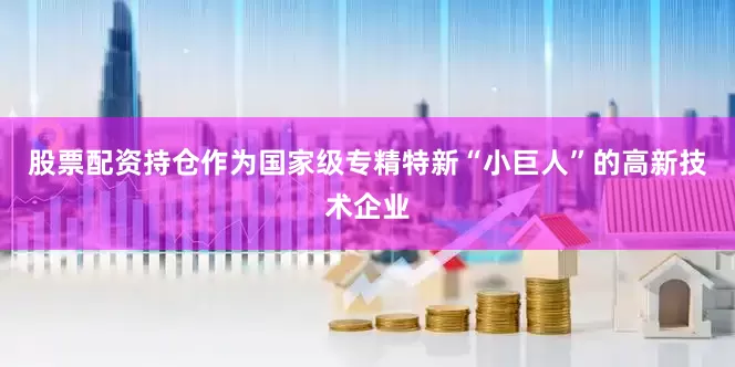 股票配资持仓作为国家级专精特新“小巨人”的高新技术企业