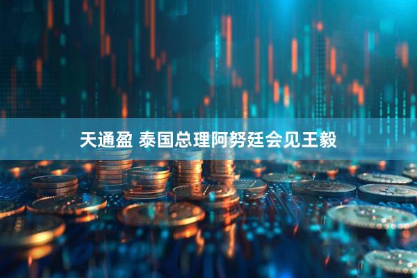 天通盈 泰国总理阿努廷会见王毅