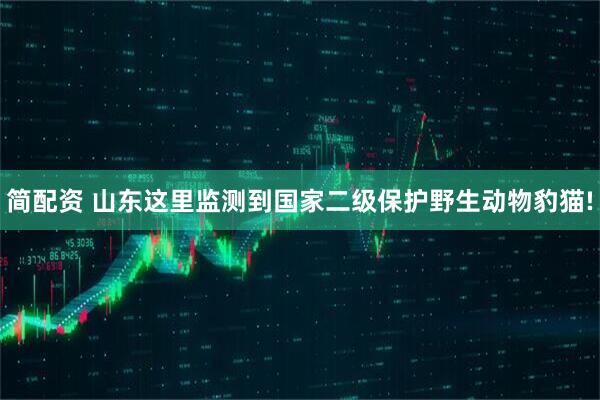 简配资 山东这里监测到国家二级保护野生动物豹猫!