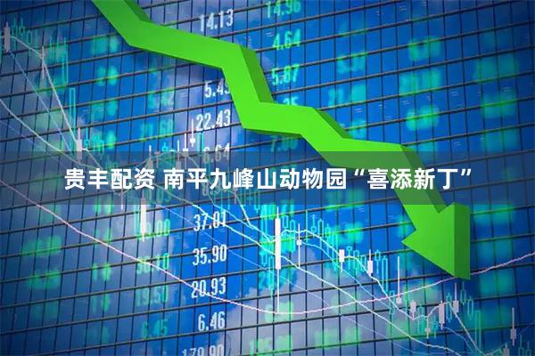 贵丰配资 南平九峰山动物园“喜添新丁”