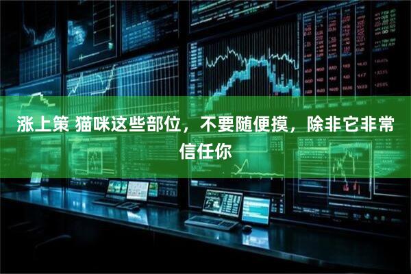 涨上策 猫咪这些部位，不要随便摸，除非它非常信任你