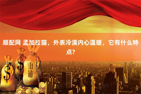 顺配网 孟加拉猫，外表冷漠内心温暖，它有什么特点?