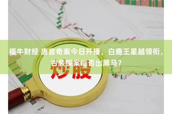 福牛财经 唐宫奇案今日开播，白鹿王星越领衔，古装探案能否出黑马？