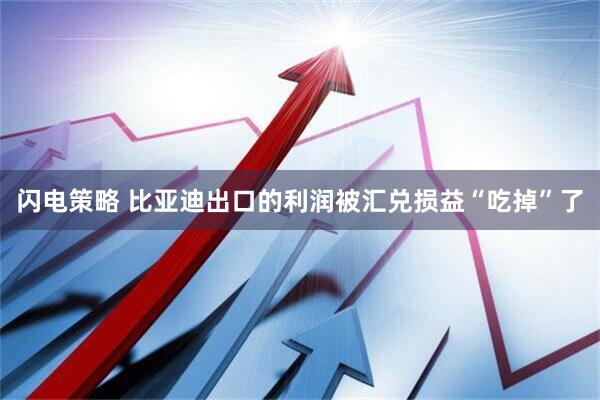 闪电策略 比亚迪出口的利润被汇兑损益“吃掉”了